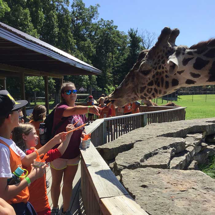 Timbavati Wildlife Park