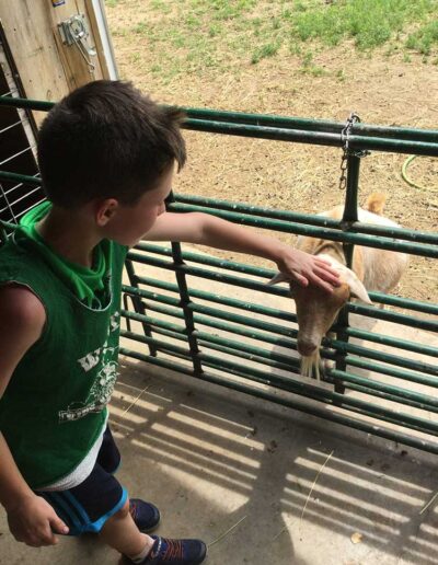 Boy petting a Goat