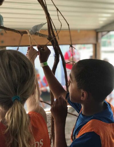 Kids feeding a little bird