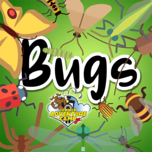 Week 4: Bugs