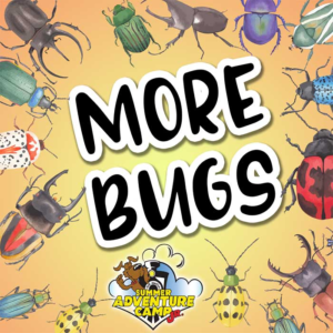 Week 4: More Bugs