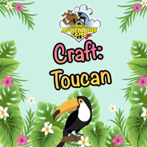 Craft: Toucan