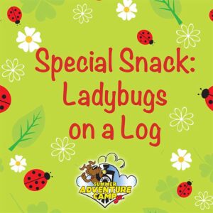 Special Snake: Ladybugs on a Log