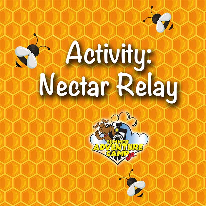 Activity: Nectar Relay