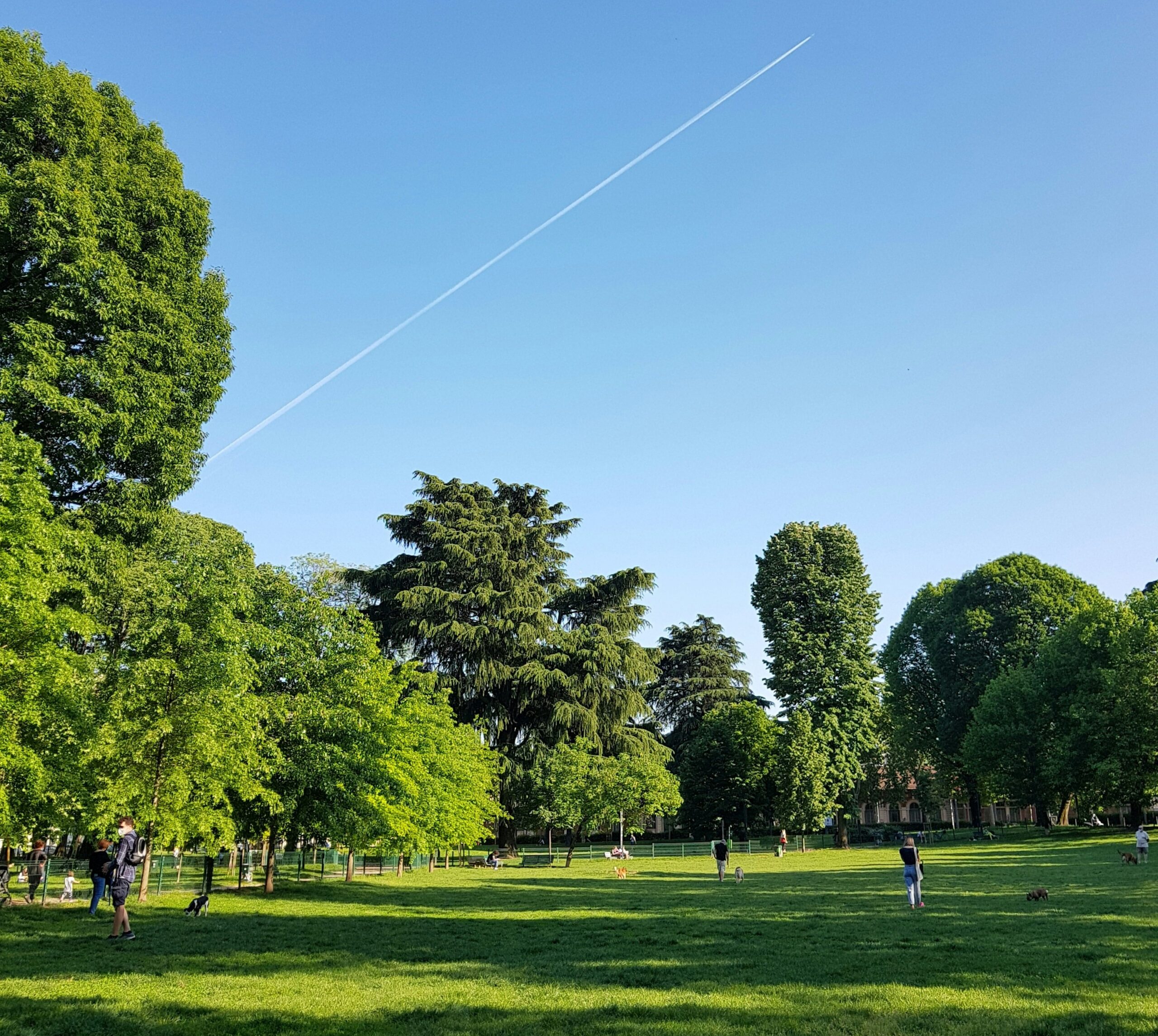 A picture of a park with a bright green grassy field, trees, and a bright blue sky.